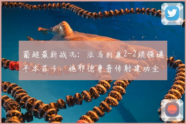 葡超最新战况：法马利康2-2顽强逼平本菲卡，施耶德鲁普传射建功全解析