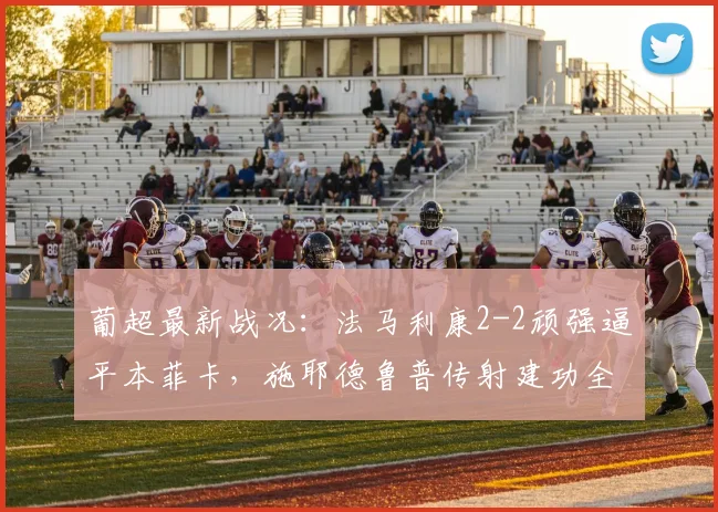 葡超最新战况：法马利康2-2顽强逼平本菲卡，施耶德鲁普传射建功全解析